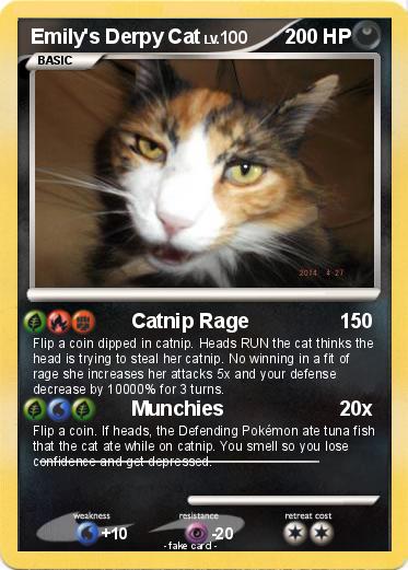 Pokemon Emily's Derpy Cat