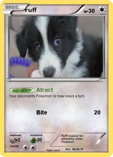 Pokemon ruff