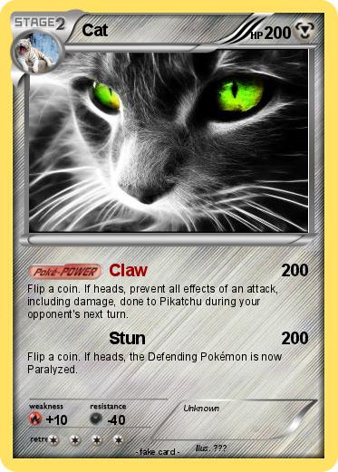 Pokemon Cat