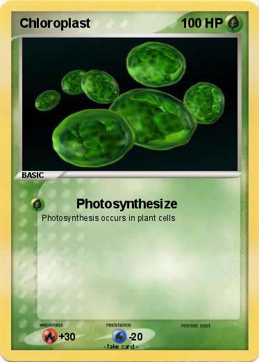 Pokemon Chloroplast