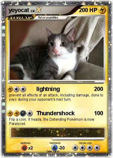 Pokemon yoyocat