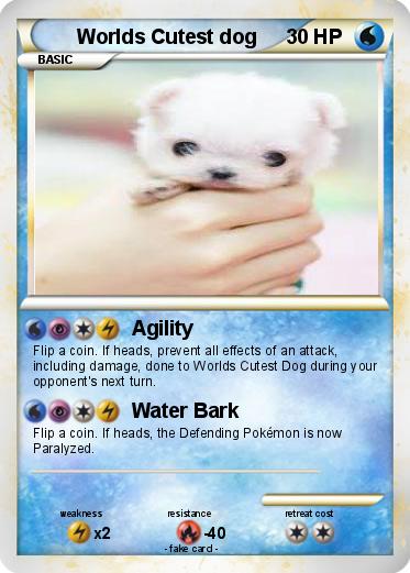 Pokemon Worlds Cutest dog