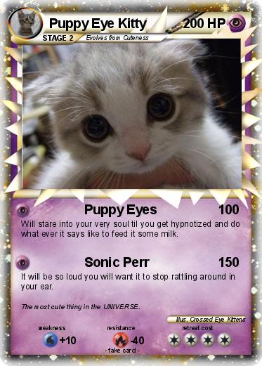 Pokemon Puppy Eye Kitty