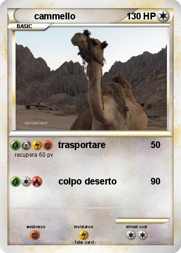 Pokemon cammello