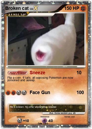 Pokemon Broken cat