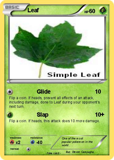 Pokemon Leaf