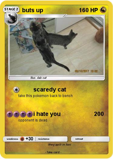 Pokemon buts up