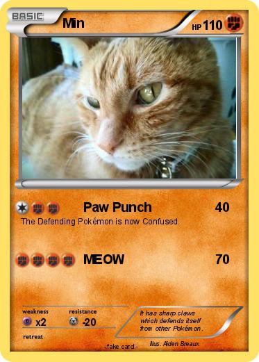 Pokemon Min