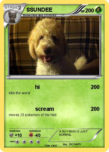 Pokemon SSUNDEE