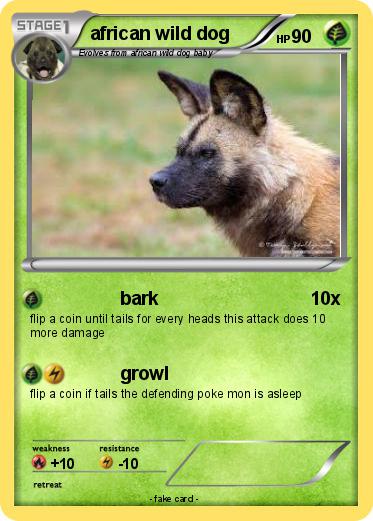 Pokemon african wild dog