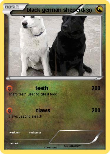 Pokemon black german sheperd