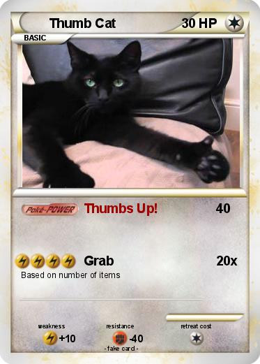 Pokemon Thumb Cat