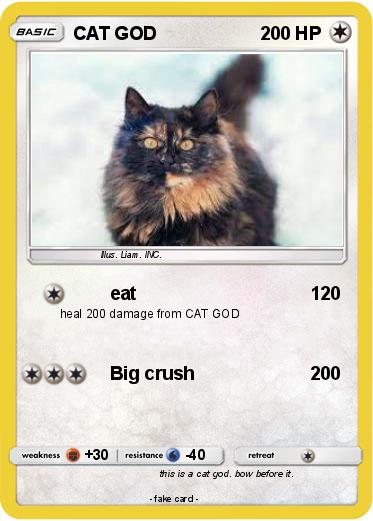 Pokemon CAT GOD