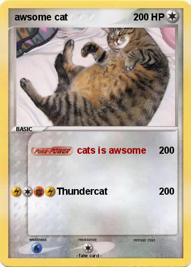 Pokemon awsome cat