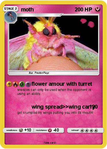 Pokemon moth