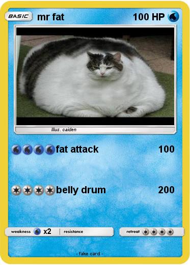 Pokemon mr fat