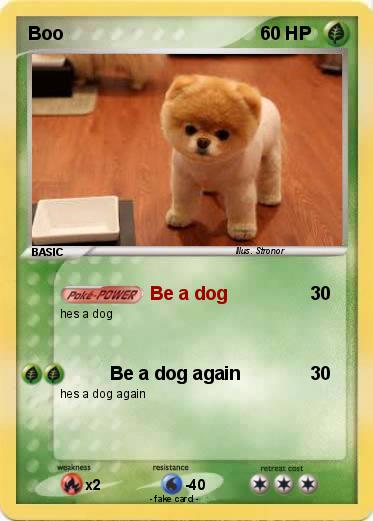 Pokemon Boo