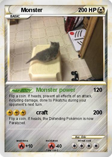 Pokemon Monster