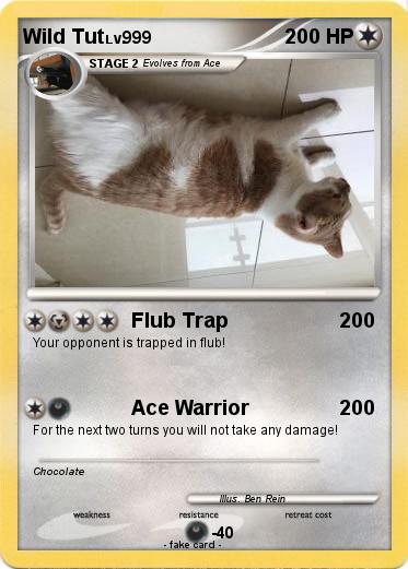 Pokemon Wild Tut
