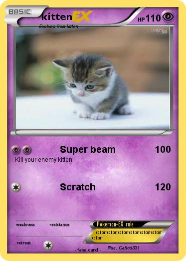 Pokemon kitten