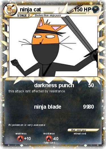 Pokemon ninja cat