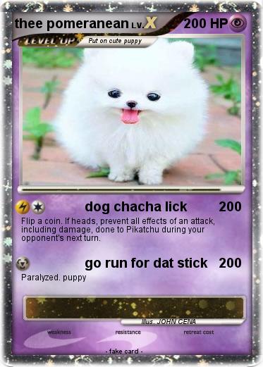 Pokemon thee pomeranean