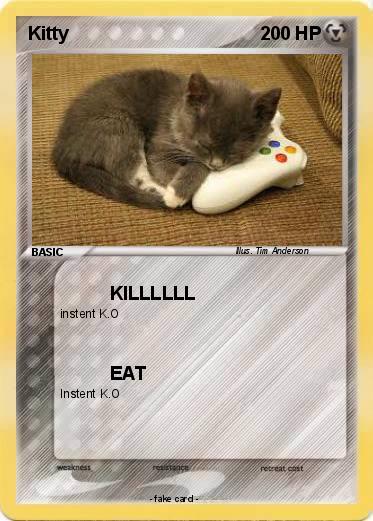 Pokemon Kitty
