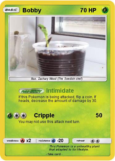 Pokemon Bobby