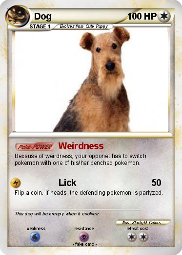 Pokemon Dog