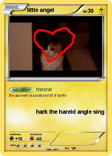 Pokemon little angel