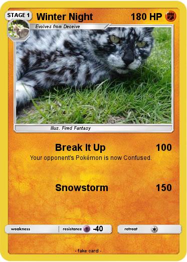 Pokemon Winter Night