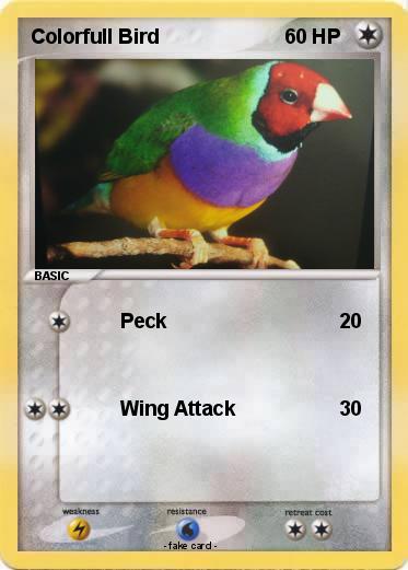 Pokemon Colorfull Bird