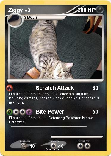 Pokemon Ziggy