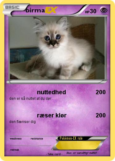 Pokemon birma