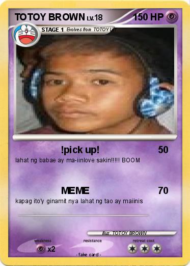 Pokemon TOTOY BROWN