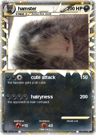 Pokemon hamster