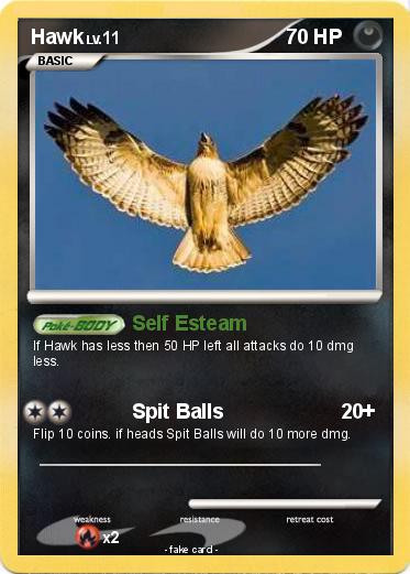 Pokemon Hawk