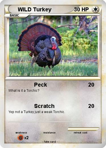 Pokemon WILD Turkey