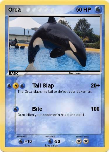 Pokemon Orca