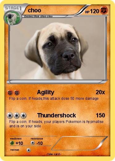 Pokemon choo