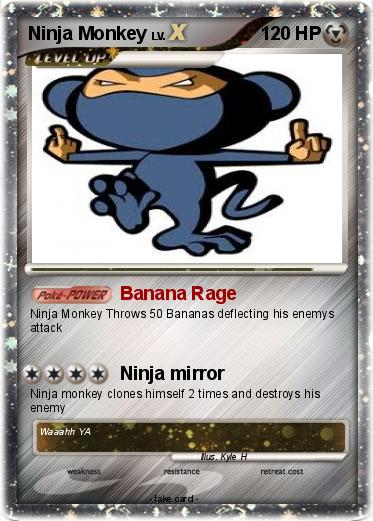 Pokemon Ninja Monkey