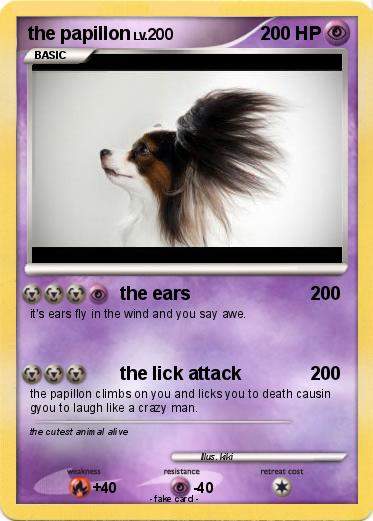 Pokemon the papillon
