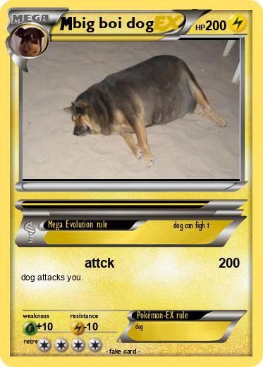 Pokemon big boi dog