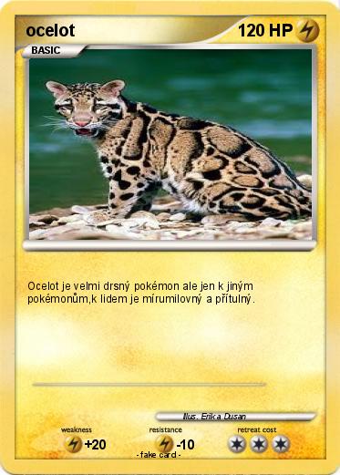 Pokemon ocelot