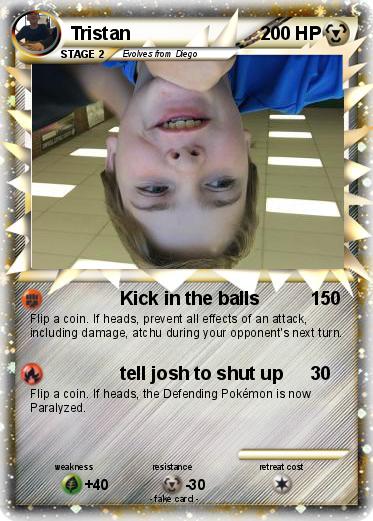 Pokemon Tristan