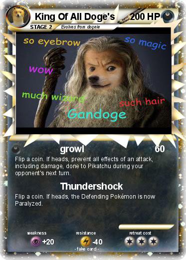 Pokemon King Of All Doge's