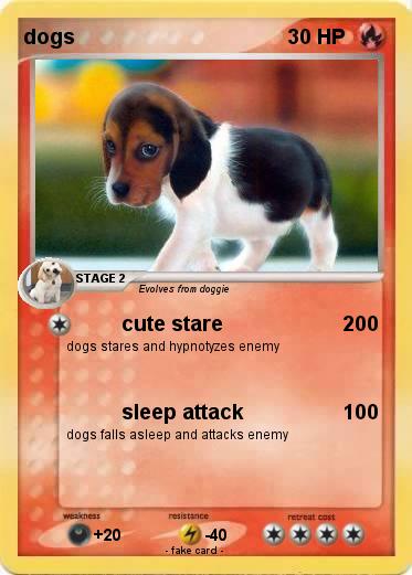 Pokemon dogs