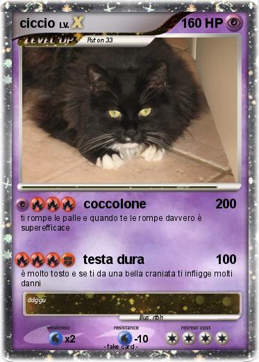 Pokemon ciccio