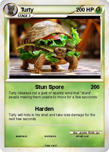 Pokemon Turty