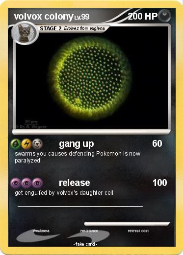 Pokemon volvox colony